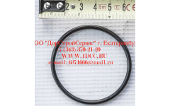 Кольцо уплотнительное ø346х3.5 гидромуфты ГТР CDM 855, 843 фото Хабаровск